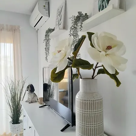 New In Pacos Appartement