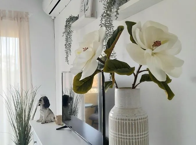 New In Pacos Apartment